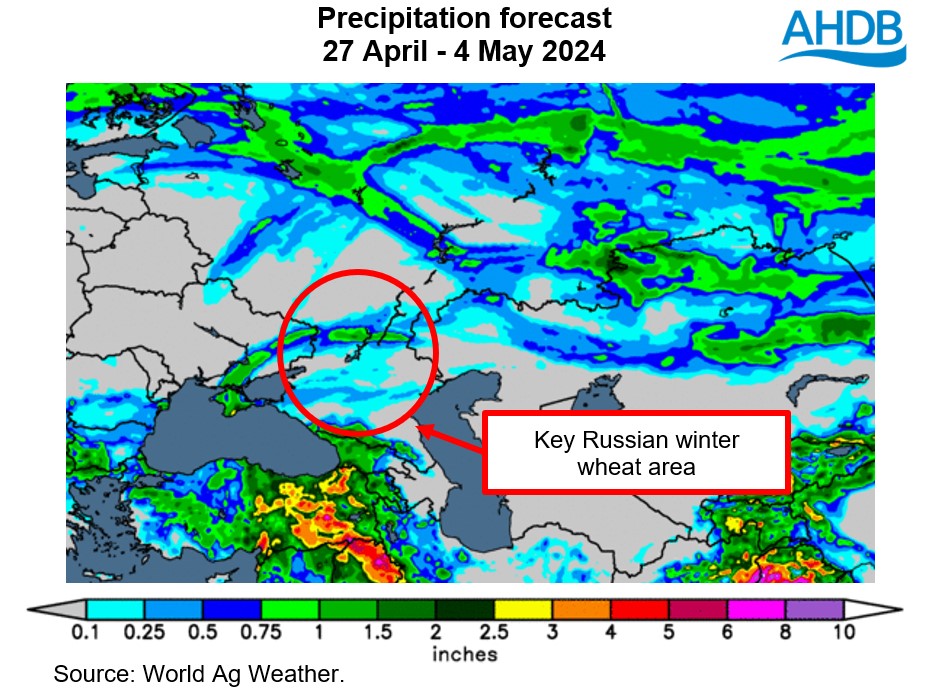 Map showing forecast for limited rainfall in Russia's main winter wheat areas, 27 April - 4 May 2024